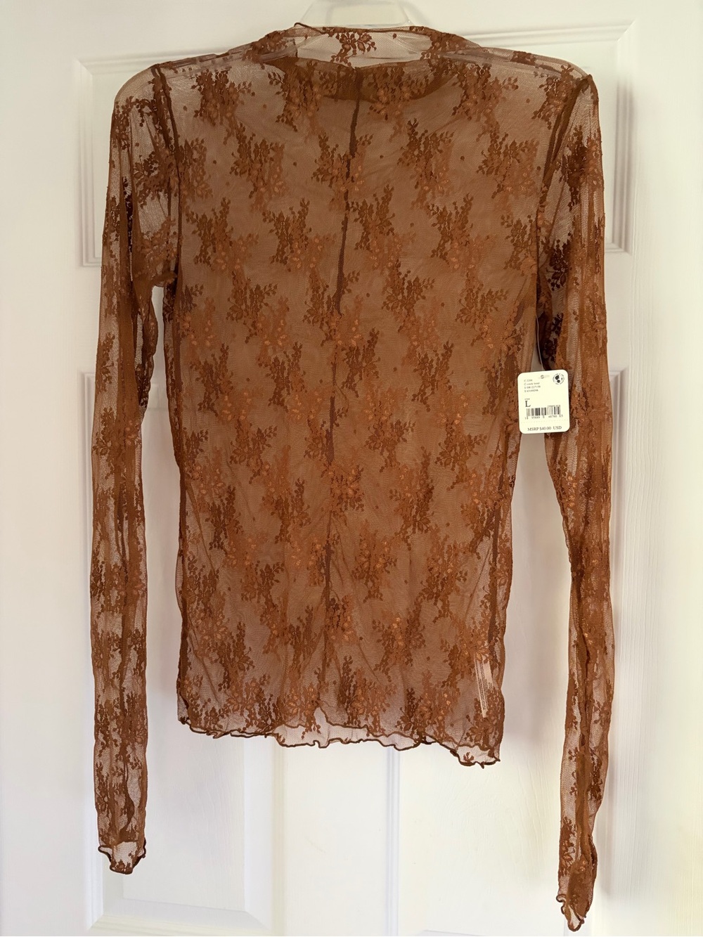 Sheer Lace Long-Sleeve Top in Brown Free People